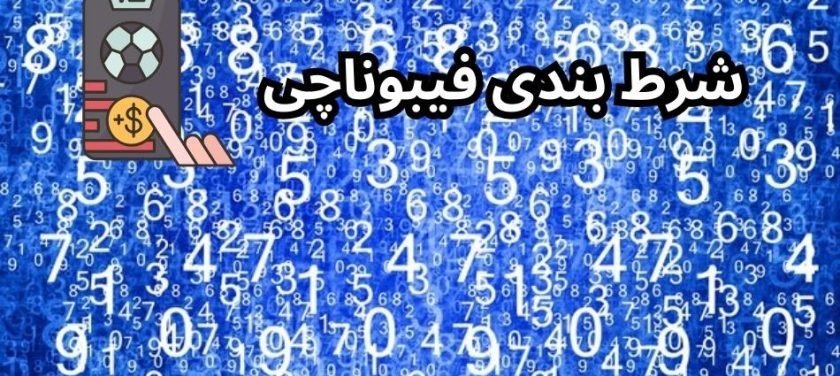 فیبوناچی در سایت وین وین بت